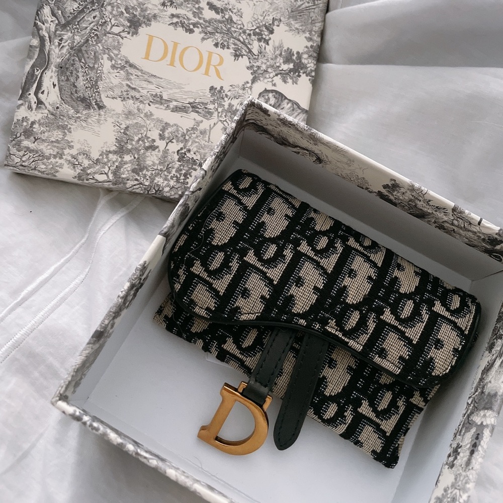 Dior saddle coin pouch